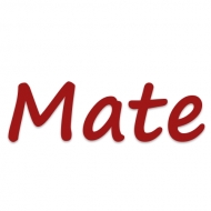 Reparar Huawei Mate Series