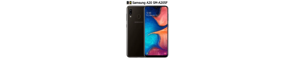 Reparar Samsung A20e | Reparación de Samsung A20e SM-A202F