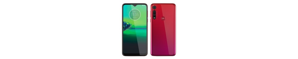 Reparar Motorola Moto G8 Play | Cambiar Pantalla Motorola Moto G8 Play | España